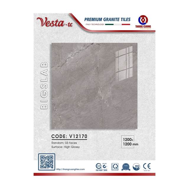 Gạch Porcelain Thắng Cường 120x120 V12170