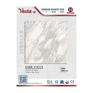 Gạch Porcelain Thắng Cường 120x120 V12173