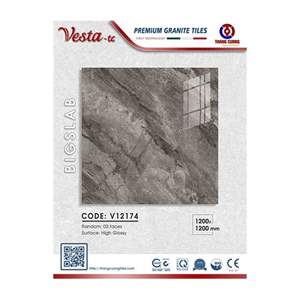 Gạch Porcelain Thắng Cường 120x120 V12174