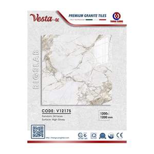 Gạch Porcelain Thắng Cường 120x120 V12175