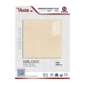 Gạch Porcelain Thắng Cường 120x120 V12177