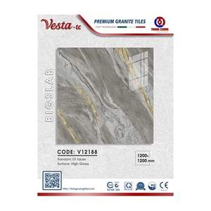 Gạch Porcelain Thắng Cường 120x120 V12188
