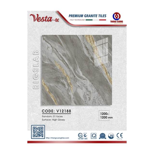 Gạch Porcelain Thắng Cường 120x120 V12188