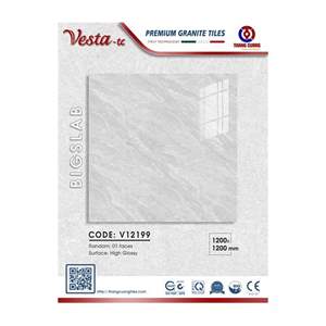 Gạch Porcelain Thắng Cường 120x120 V12199