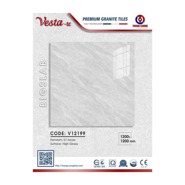 Gạch Porcelain Thắng Cường 120x120 V12199