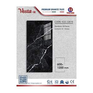 Gạch Porcelain Thắng Cường 60x120 V23-12610