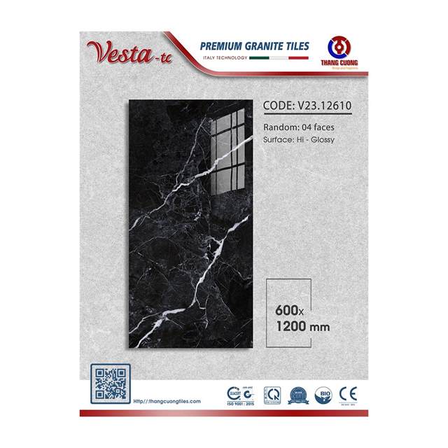 Gạch Porcelain Thắng Cường 60x120 V23-12610