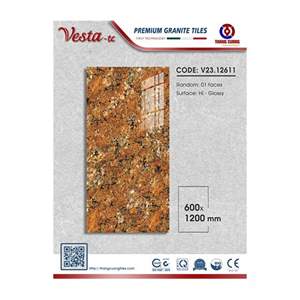 Gạch Porcelain Thắng Cường 60x120 V23-12611