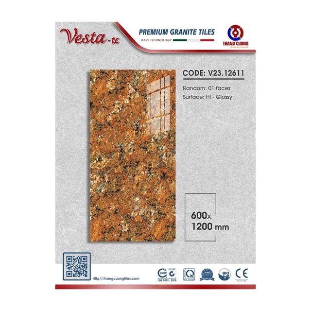 Gạch Porcelain Thắng Cường 60x120 V23-12611