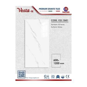 Gạch Porcelain Thắng Cường 60x120 V2312601