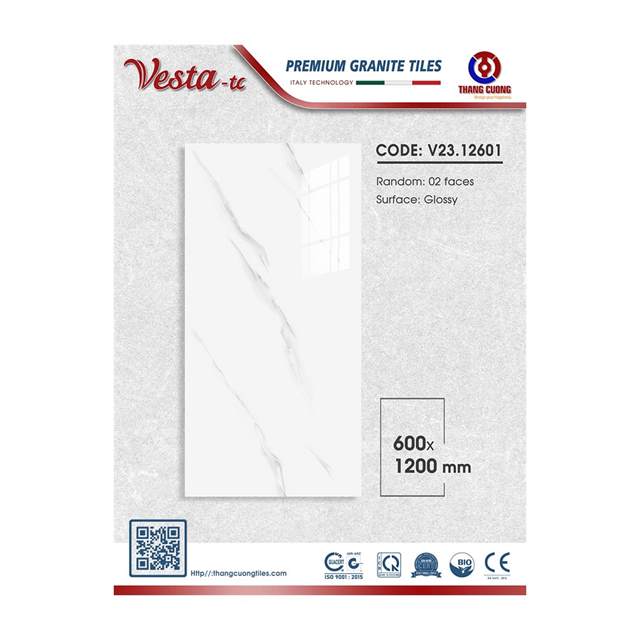 Gạch Porcelain Thắng Cường 60x120 V2312601