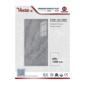 Gạch Porcelain Thắng Cường 60x120 V2312602