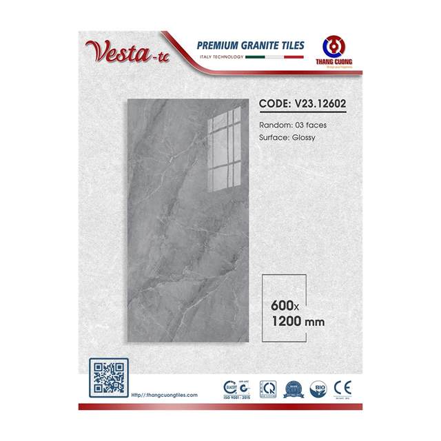 Gạch Porcelain Thắng Cường 60x120 V2312602