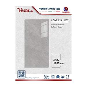 Gạch Porcelain Thắng Cường 60x120 V2312603