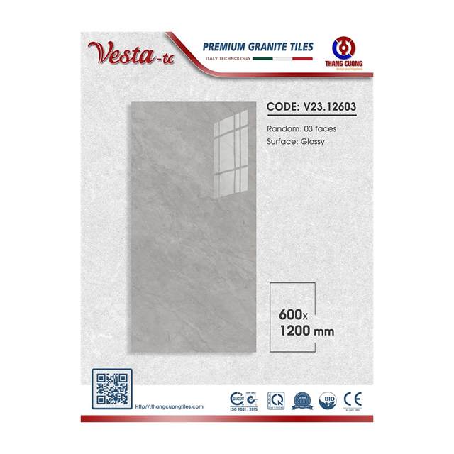 Gạch Porcelain Thắng Cường 60x120 V2312603