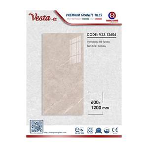 Gạch Porcelain Thắng Cường 60x120 V2312604
