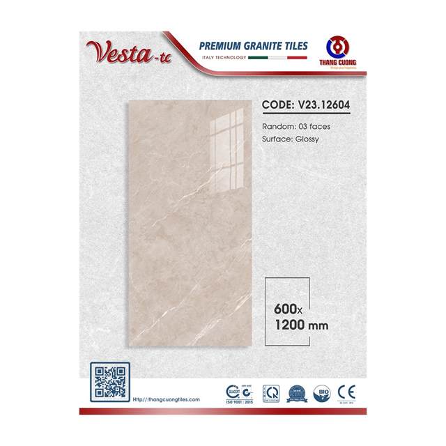Gạch Porcelain Thắng Cường 60x120 V2312604