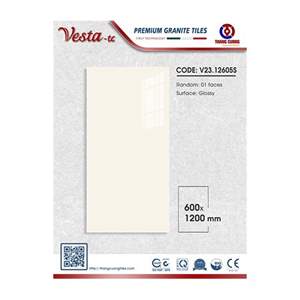 Gạch Porcelain Thắng Cường 60x120 V2312605S