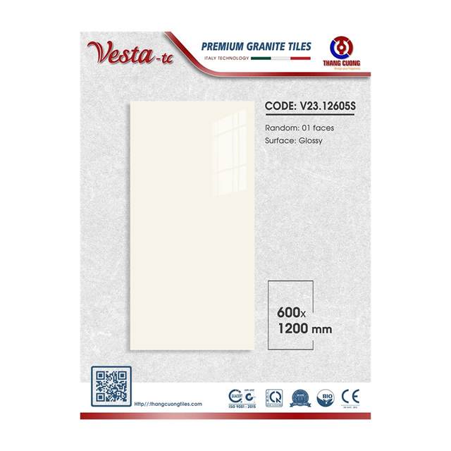 Gạch Porcelain Thắng Cường 60x120 V2312605S