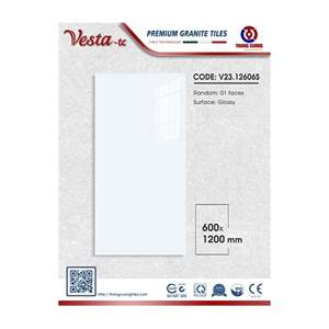 Gạch Porcelain Thắng Cường 60x120 V2312606S
