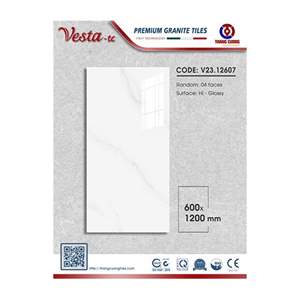 Gạch Porcelain Thắng Cường 60x120 V2312607