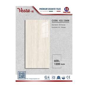 Gạch Porcelain Thắng Cường 60x120 V2312608