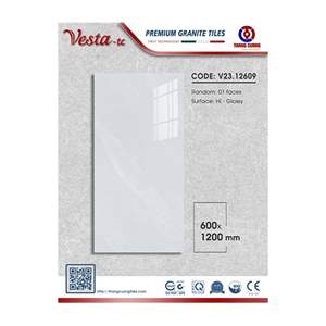 Gạch Porcelain Thắng Cường 60x120 V2312609