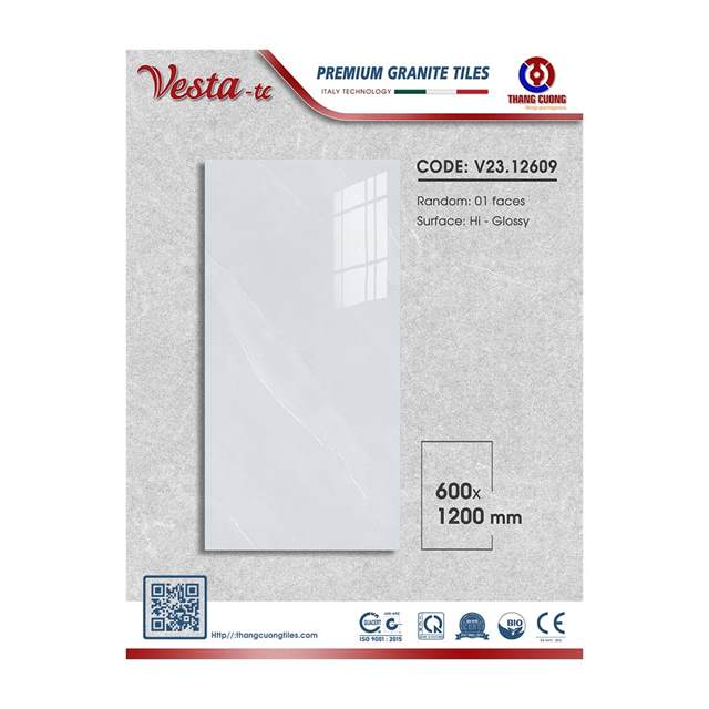 Gạch Porcelain Thắng Cường 60x120 V2312609