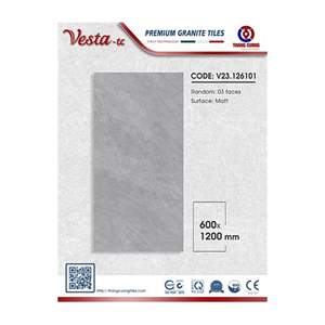 Gạch Porcelain Thắng Cường 60x120 V23126101