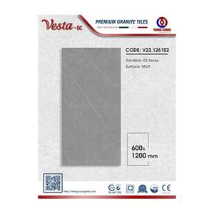 Gạch Porcelain Thắng Cường 60x120 V23126102
