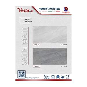 Gạch Porcelain Thắng Cường 40x80 SATIN