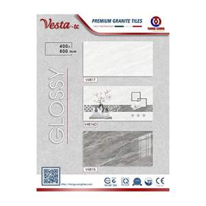 Gạch Porcelain Thắng Cường 40x80 V4815-16D-17