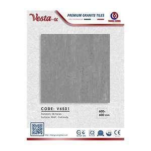 Gạch Porcelain Thắng Cường 60x60 V6501