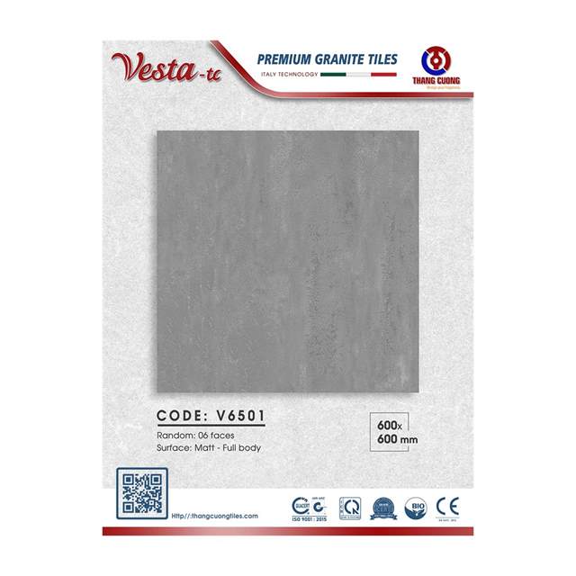 Gạch Porcelain Thắng Cường 60x60 V6501
