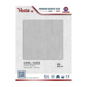 Gạch Porcelain Thắng Cường 60x60 V6502
