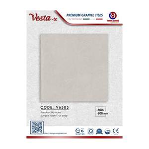 Gạch Porcelain Thắng Cường 60x60 V6503