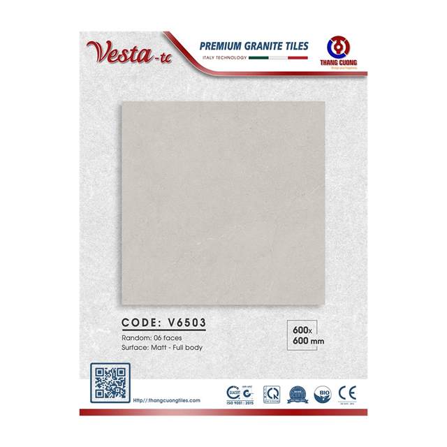 Gạch Porcelain Thắng Cường 60x60 V6503