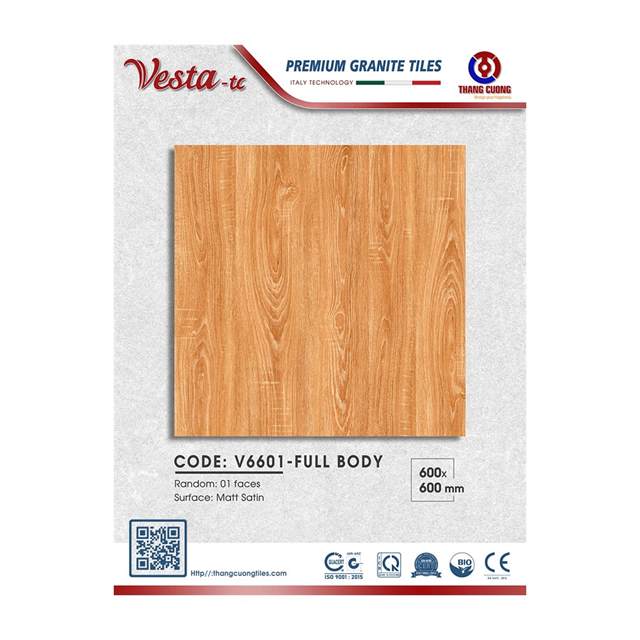 Gạch Porcelain Thắng Cường 60x60 V6601