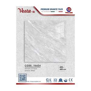 Gạch Porcelain Thắng Cường 60x60 V6624