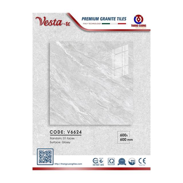 Gạch Porcelain Thắng Cường 60x60 V6624