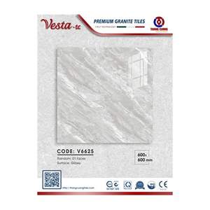 Gạch Porcelain Thắng Cường 60x60 V6625