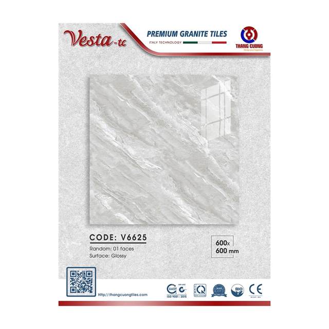 Gạch Porcelain Thắng Cường 60x60 V6625