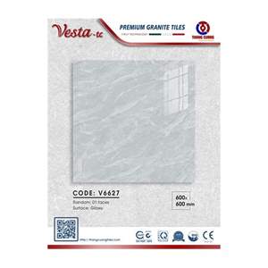 Gạch Porcelain Thắng Cường 60x60 V6627