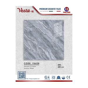 Gạch Porcelain Thắng Cường 60x60 V6628