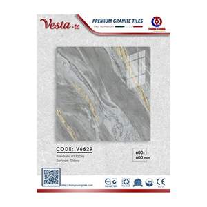 Gạch Porcelain Thắng Cường 60x60 V6629