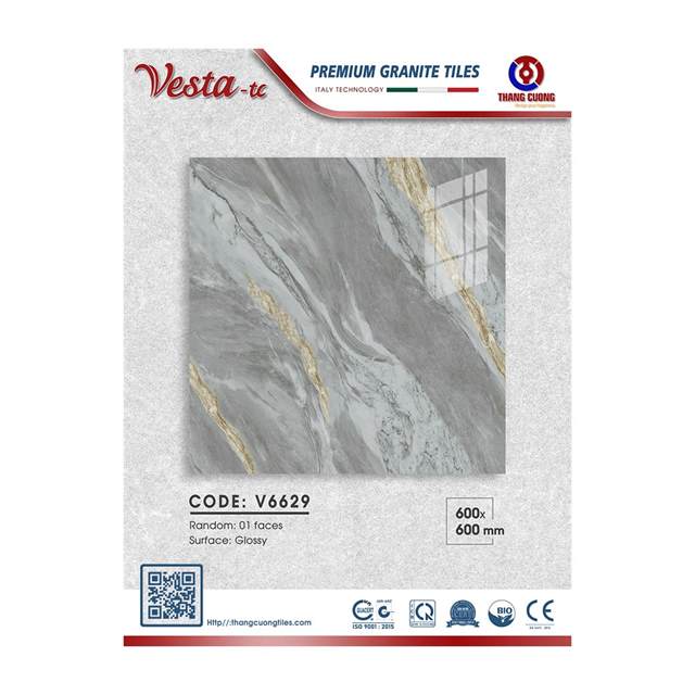 Gạch Porcelain Thắng Cường 60x60 V6629