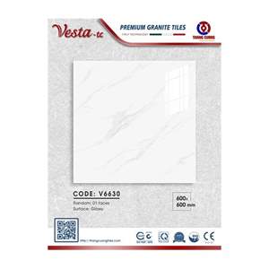 Gạch Porcelain Thắng Cường 60x60 V6630