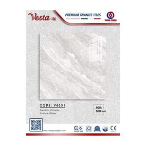 Gạch Porcelain Thắng Cường 60x60 V6631