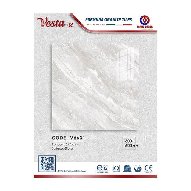 Gạch Porcelain Thắng Cường 60x60 V6631