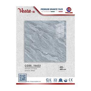 Gạch Porcelain Thắng Cường 60x60 V6633